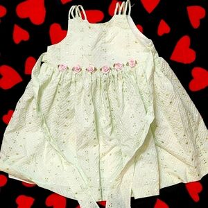 4T Girls Dress Easter Spring Pastel Green Pink Roses